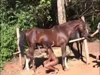 C700 New Young Superb Ebony Model 1st Horse Sex FULL!